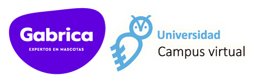 Universidad Gabrica Logo